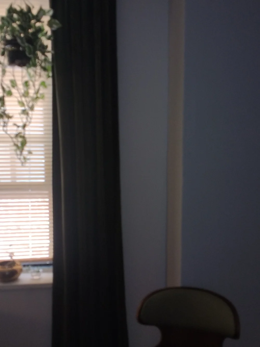 Plush Velvet Curtains (6) Panels in Olive Green 55